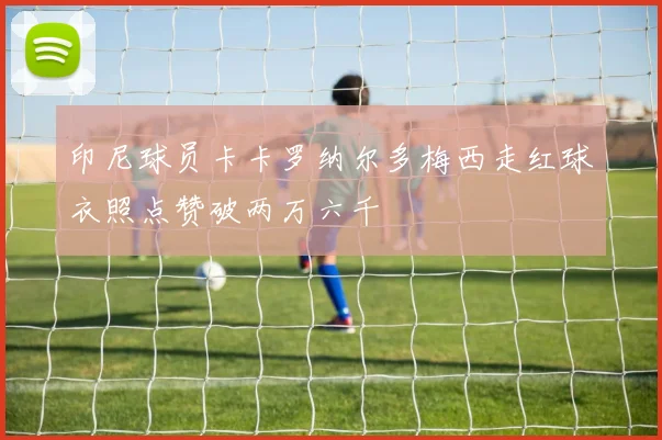印尼球员卡卡罗纳尔多梅西走红球衣照点赞破两万六千