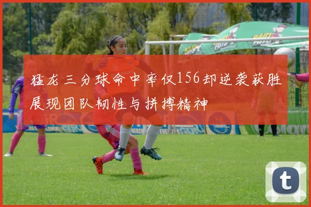 猛龙三分球命中率仅156却逆袭获胜展现团队韧性与拼搏精神