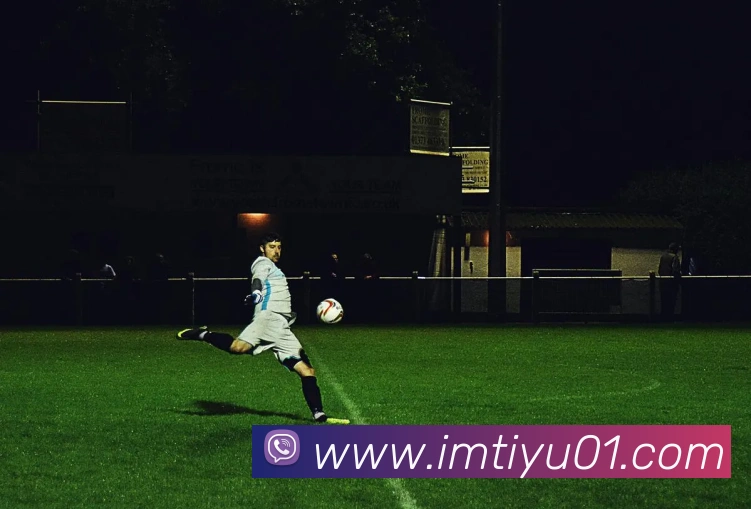 im体育平台生态图